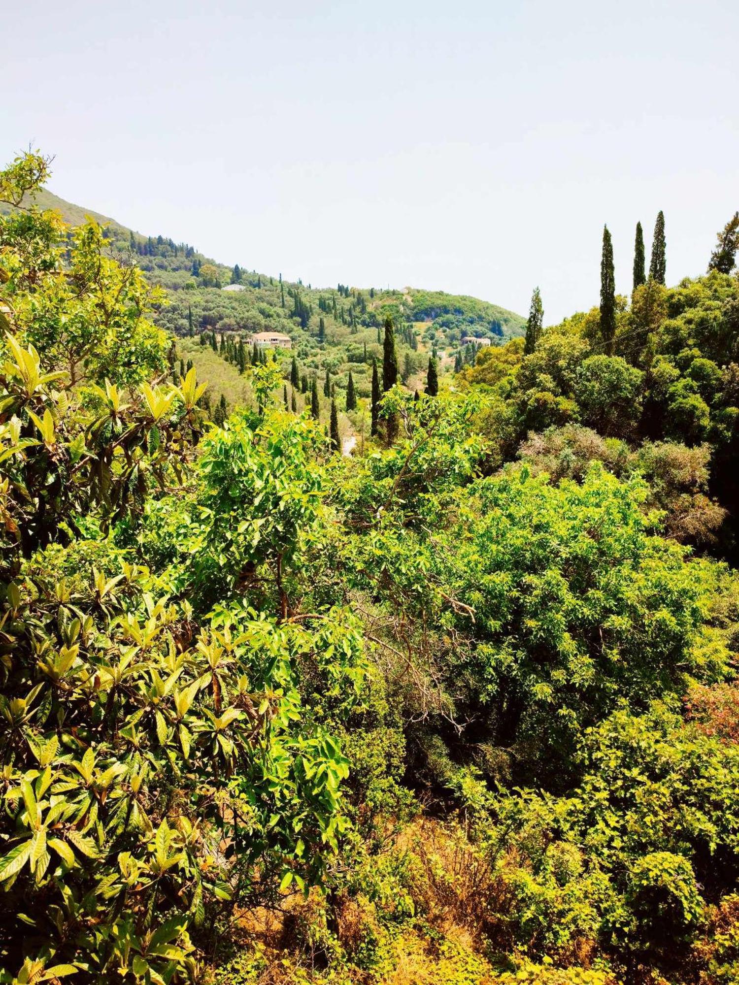 Villa Tilemachos House Kato Garouna Esterno foto